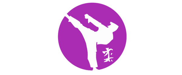 Gevechtsport: workshop - sportenopleiding