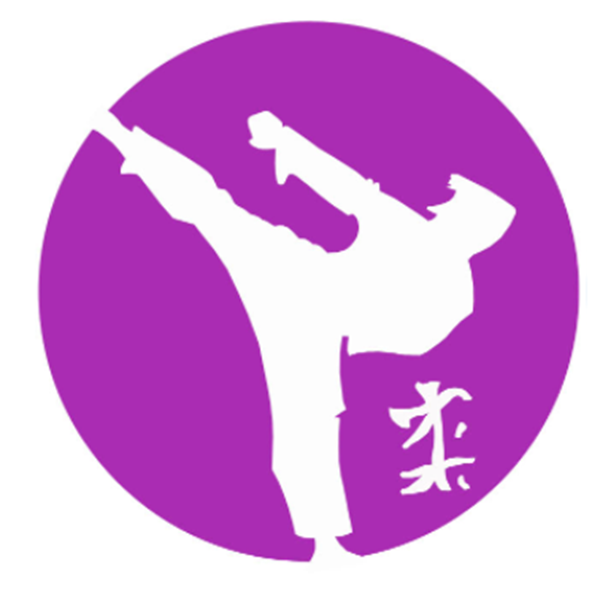 Gevechtsport: workshop